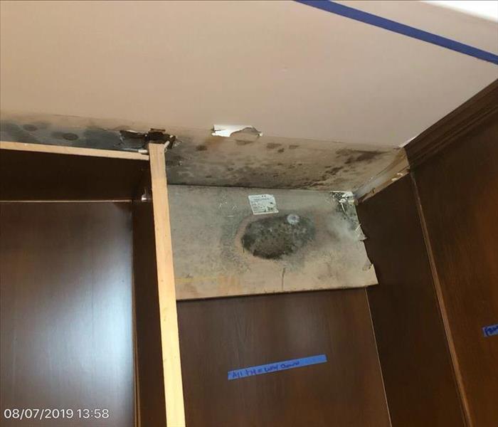 mold in between ceiling drywall 